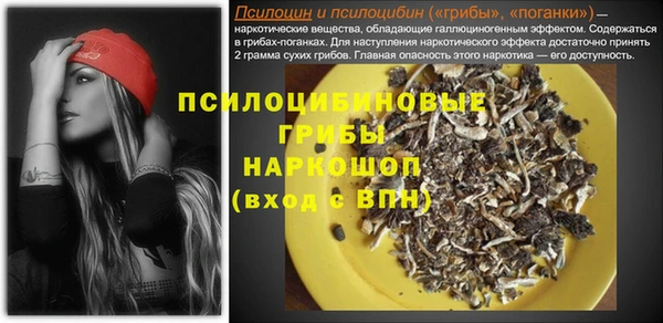 гашик Армянск
