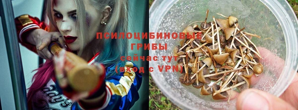 гидропоника Баксан
